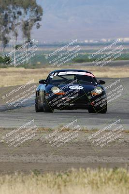 media/May-03-2024-PCA Central Coast (Fri) [[eaa7da0ee1]]/Red Group/Session 1 (Grapevine)/